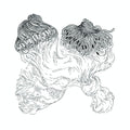 Quartabe - Licao No. 2: Dorival - Vinyl Record