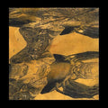 Dorji,tashi - Tashi Dorji - Vinyl Record