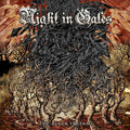 Night In Gales - Black Stream - Music CD