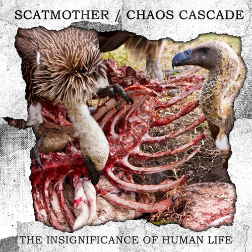 Scatmother & Chaos Cascade - Insignificance Of Human Life - Music CD