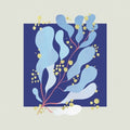 Salamanda - In Parallel - Vinyl Record