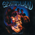 Grateful Dead - Built To Last - Vinyl Record