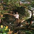 Packs - Melt The Honey - Music CD