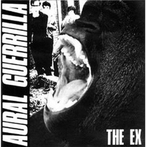 Ex - Aural Guerrilla - Vinyl Record