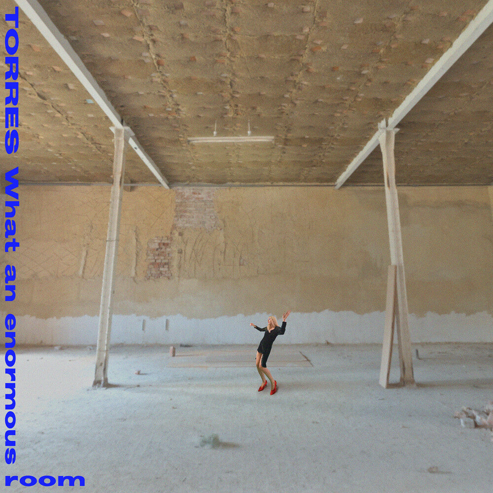 What An Enormous Room (Blk) [Download Included] Vinyl Record