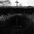 Caged - From Roving About The Earth - Vinyl Record