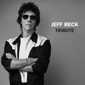 Tribute [RSD Black Friday 2023] Vinyl Record