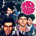 Amor Indio - Amor Indio - Vinyl Record