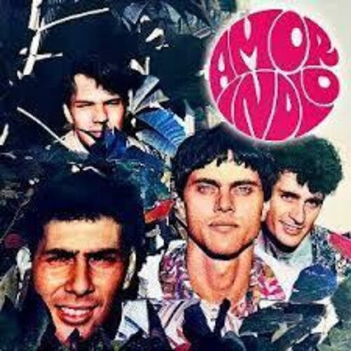 Amor Indio - Amor Indio - Vinyl Record