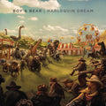 Boy & Bear - Harlequin Dream (10th Anniversary) - Vinyl Record