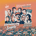 Diepkloof United Voice - Harmonizing Soweto: Golden City Gospel & Kasi Soul - Vinyl Record