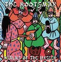 Rootsman - Realms Of The Unseen - Vinyl Record