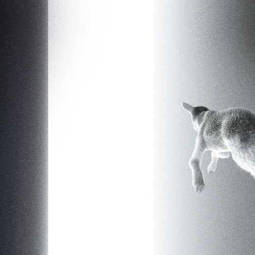 Panoram - Keep Looking Where The Light Comes From - Vinyl Record