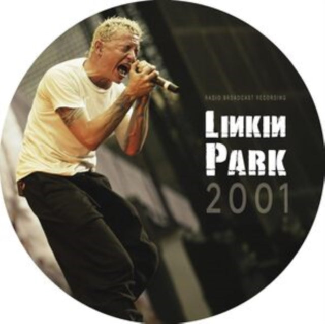 Linkin Park - 2001 (Pic Disc) - 12 Inch Vinyl