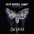 Sinfonia (W/Dvd) [Limited Edition] (Medb)