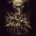 Permutation - Transience - Vinyl Record