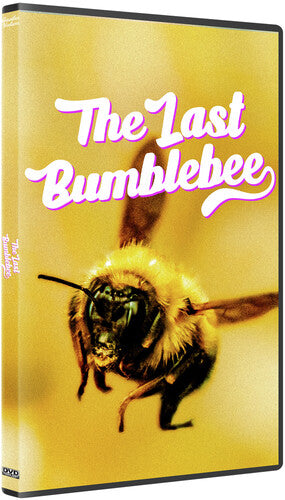 Last Bumblebee - Last Bumblebee - DVD