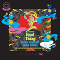 Real Thing - Akio Nagase Remix - Vinyl Record
