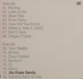 Sylvan Esso - No Rules Sandy - Vinyl Record