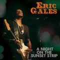 Gales,eric - Night On The Sunset Strip - Vinyl Record