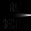 Rat Section - What Stays In Vegas - Music CD