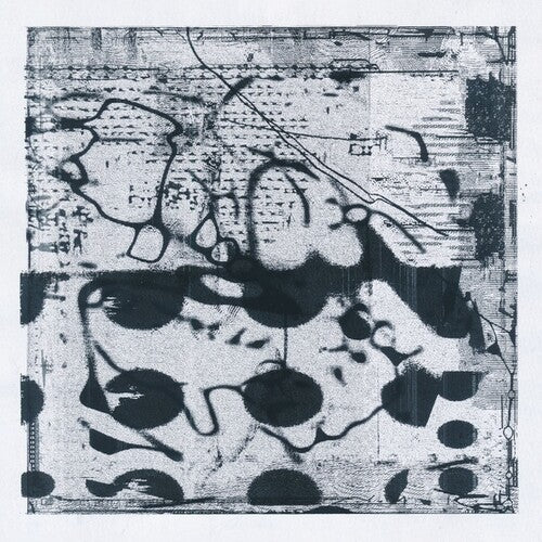 Lanz,simon / Lanz,tobias - Arches - Vinyl Record