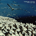 Thinking Fellers Union Local 282 - These Things Remain Unassigned - Vinyl Record