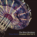 Blow Monkeys - Time Storm: Greatest Hits - Music CD