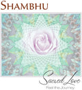 Shambu - Sacred Love: Feel The Journey - Music CD