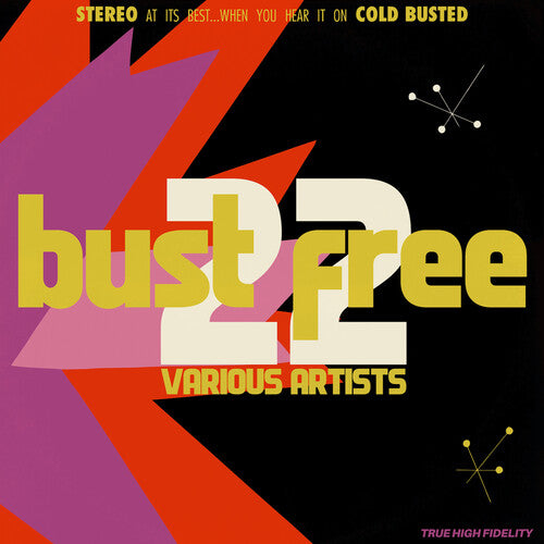 Bust Free 22 / Various - Bust Free 22 / Various - Vinyl Record