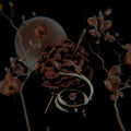 Anne,huxley - Ilium - Vinyl Record