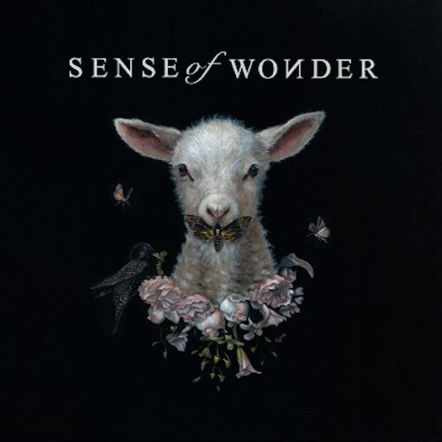 Sense Of Wonder - Sense Of Wonder - Vinyl Record
