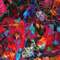 San Leo - Aves Raras - Vinyl Record