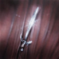 New Last Name [LP] Vinyl Record