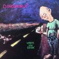 Dinosaur Jr - Where You Been: 30th Anniversary