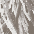 Paton,jw - Structures - Music CD