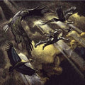 Sangre De Muerdago - O Vento Que Lambe As Minas Feridas - Music CD