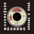 Lord Tanamo - If You Were Only Mine - Vinyl Record