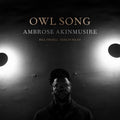 Akinmusire,ambrose / Frisell,bill / Riley,herlin - Owl Song - Music CD