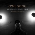 Akinmusire,ambrose / Frisell,bill / Riley,herlin - Owl Song - Vinyl Record
