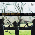Dominguez / Rodriguez / Catediano - Soinuzko Begiradak - Take 2 - Music CD
