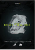 About Tigers & Quixotes - About Tigers & Quixotes - DVD