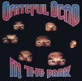Grateful Dead - In The Dark - Vinyl Record