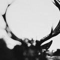 Ihsahn - Ihsahn (orchestral Version) - Music CD