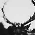 Ihsahn (Orchestral Version) [LP] Vinyl Record