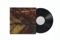 Pay Money To My Pain - Gene - Vinyl Record