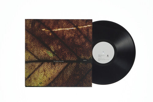 Pay Money To My Pain - Gene - Vinyl Record