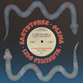 Earthtones - La Mujer Serpiente B/w Selam - Vinyl Record