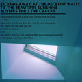 Mxlx - Kicking Away At The Decrepit Walls - Vinyl Record