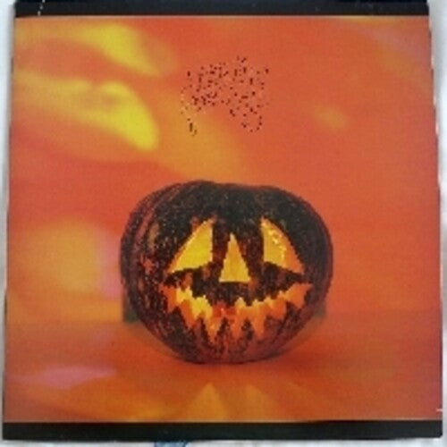 Sonic Youth - Walls Have Ears - Vinyl Record
